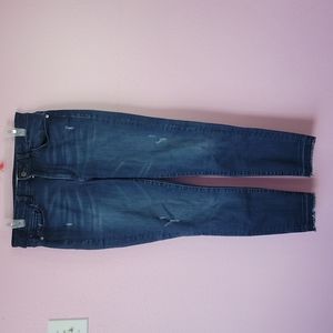 DL1961 jeans ryan high rise petite women/size 29.
